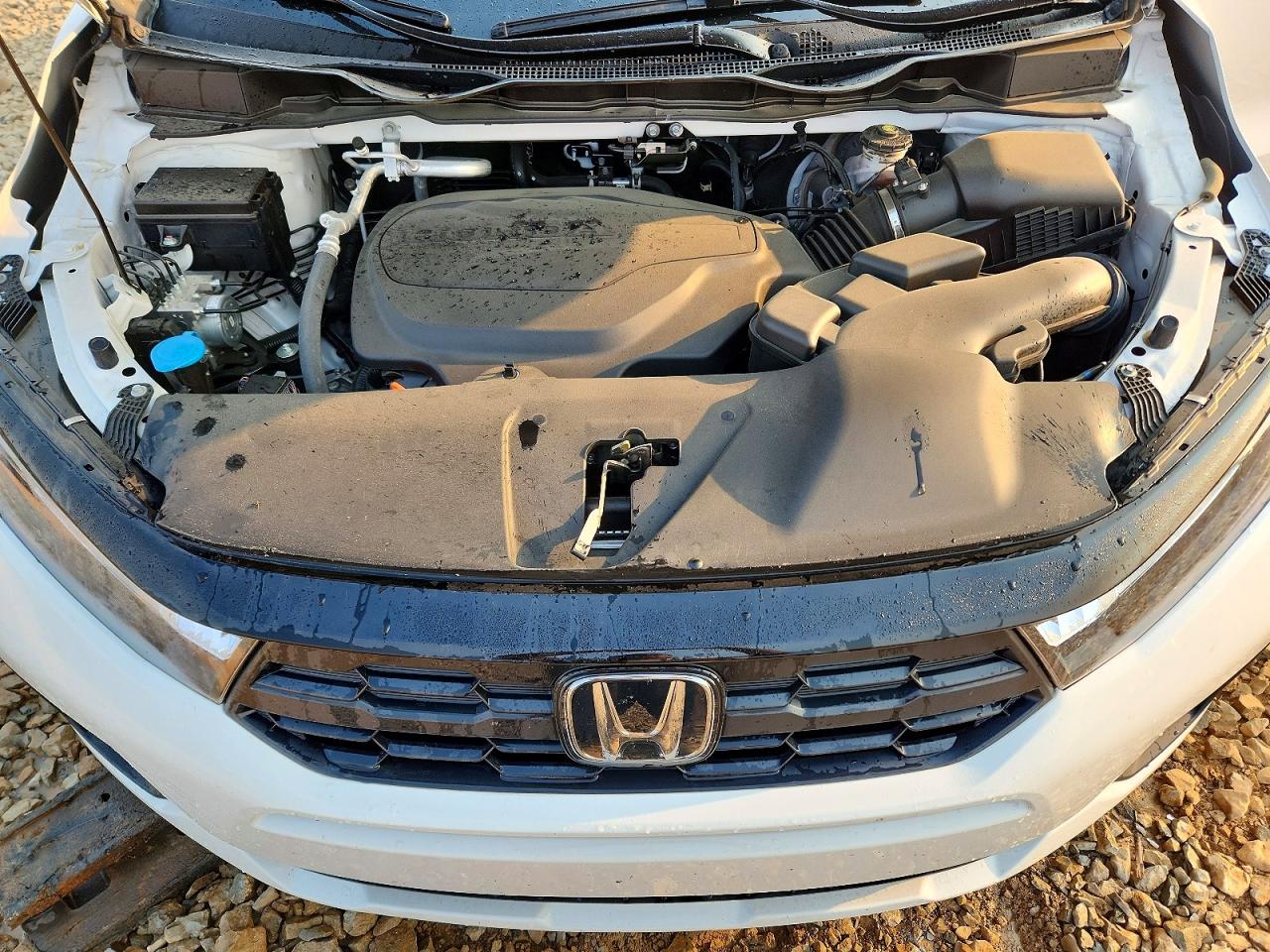 2025 HONDA ODYSSEY EXL photo 34