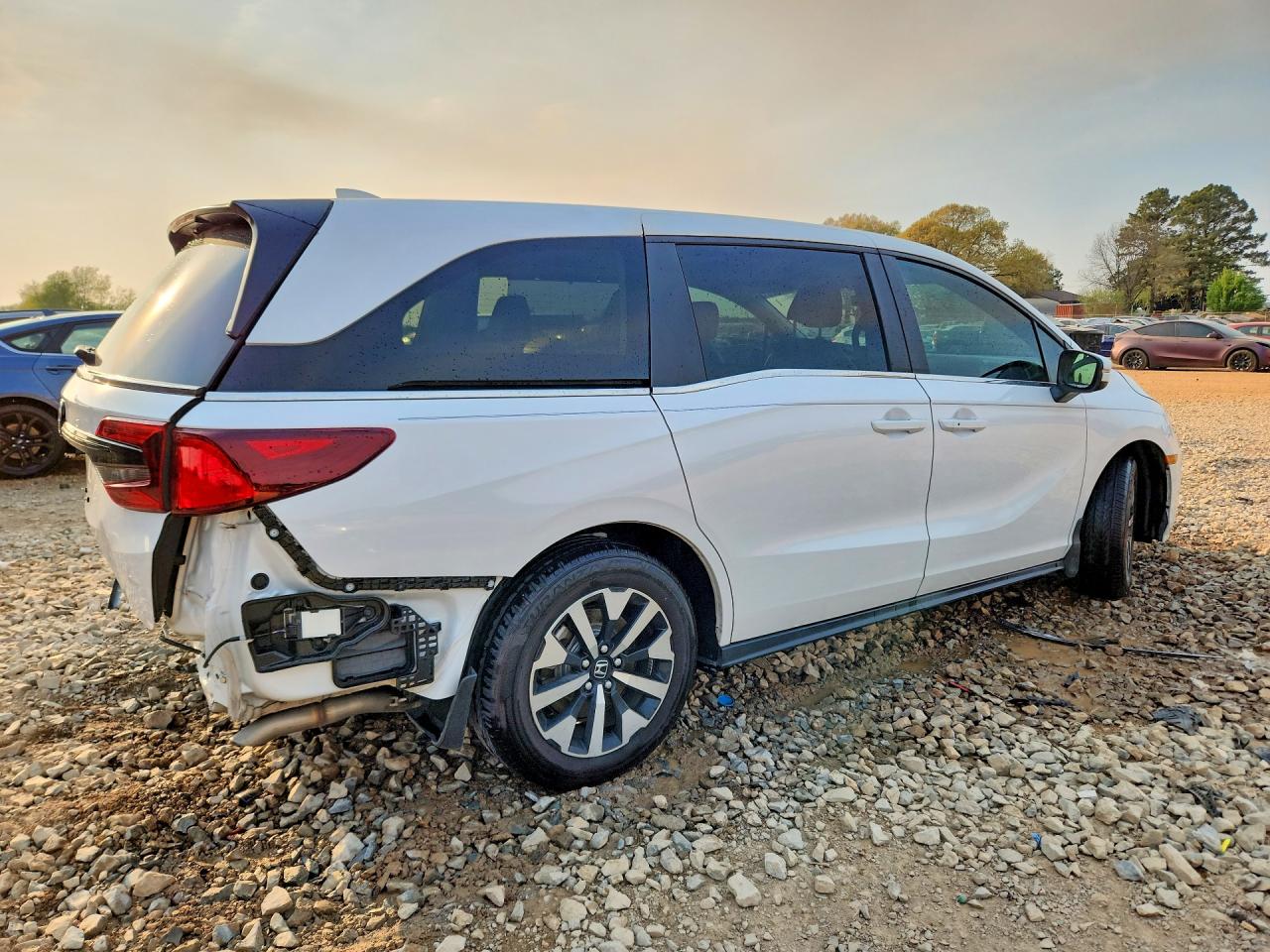2025 HONDA ODYSSEY EXL photo 7