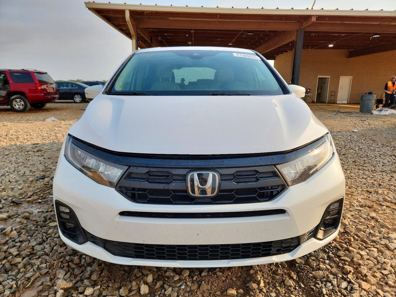 2025 HONDA ODYSSEY EXL photo 13