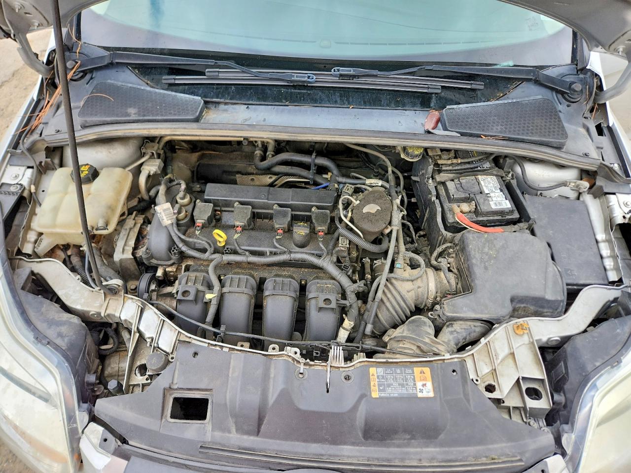2014 FORD FOCUS SE photo 11