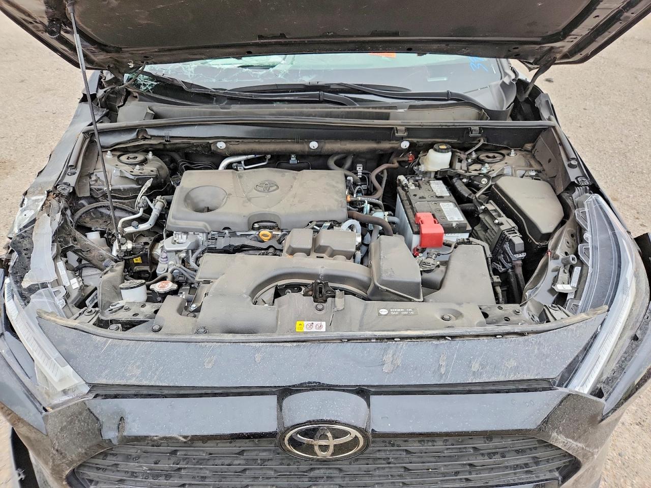 2025 TOYOTA RAV4 XLE photo 12