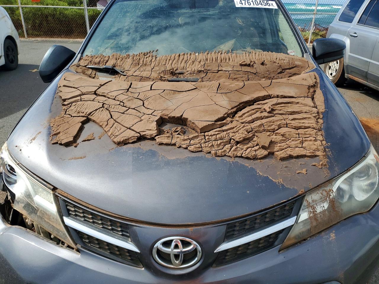 2014 TOYOTA RAV4 LE photo 12