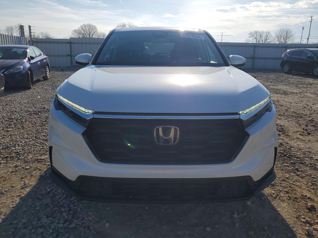 2024 HONDA CR-V EXL photo 13