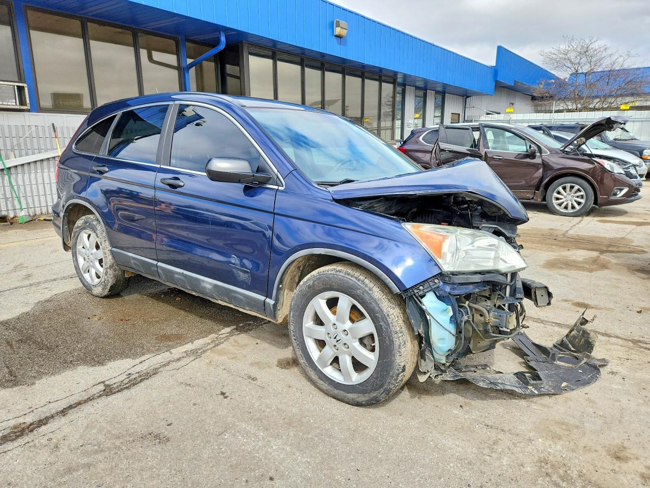 2008 HONDA CR-V EX photo 4