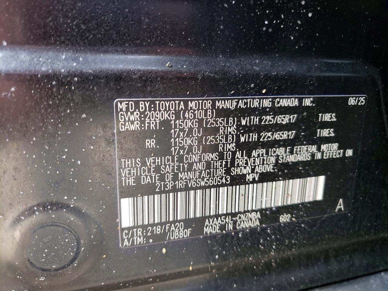 2025 TOYOTA RAV4 XLE photo 13