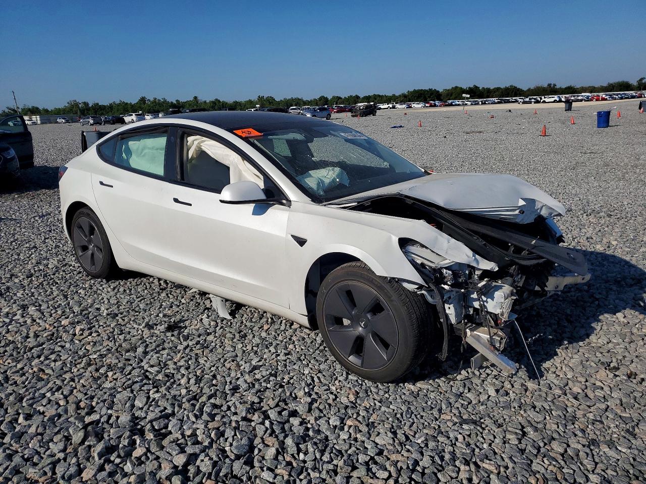 2021 TESLA MODEL 3 photo 10