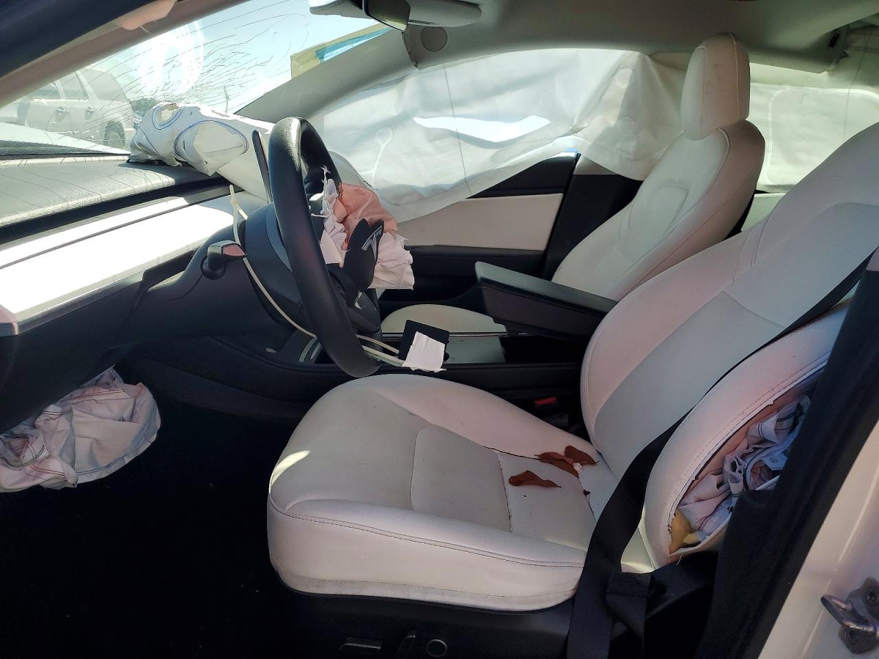 2021 TESLA MODEL 3 photo 19