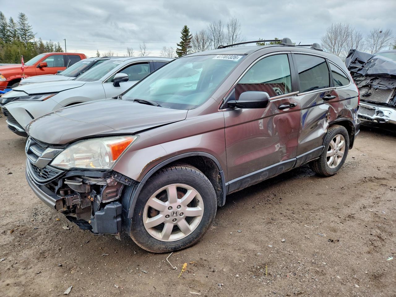 2010 HONDA CR-V