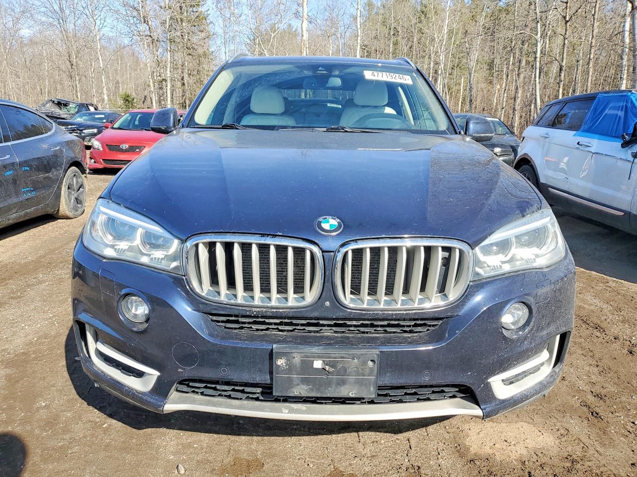 2016 BMW X5 photo 5