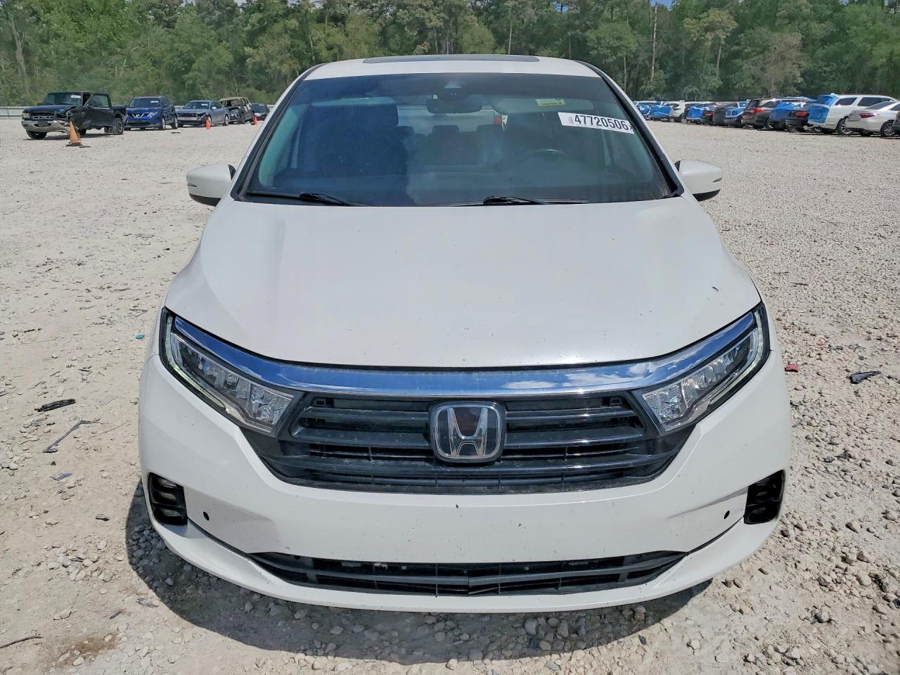 2024 HONDA ODYSSEY ELITE photo 5