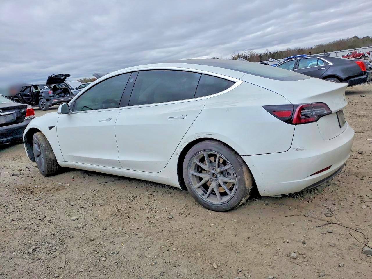 2019 TESLA MODEL 3 photo 3