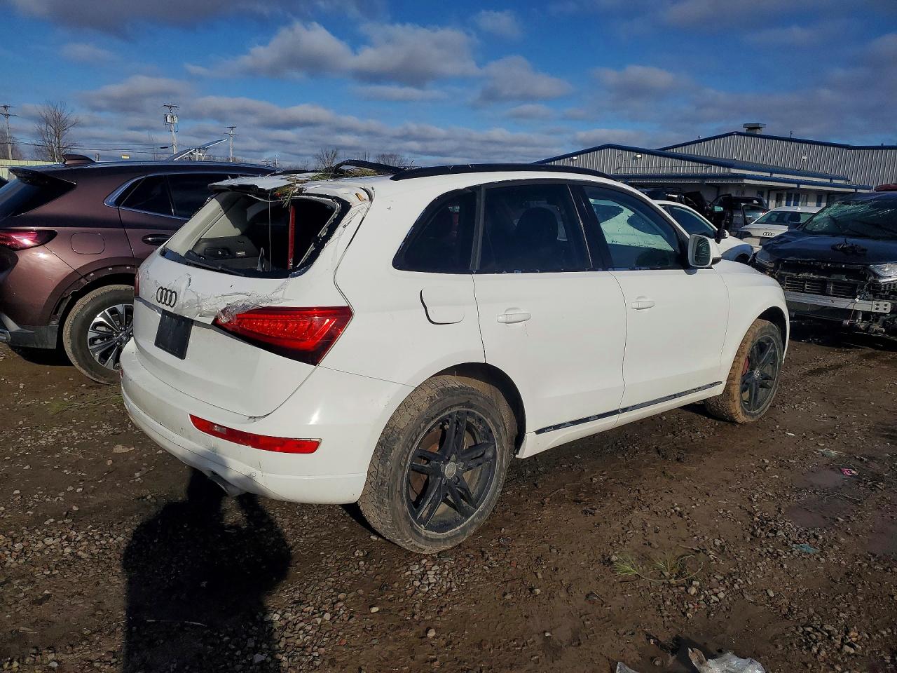 2013 AUDI Q5 PREMIUM PLUS photo 5