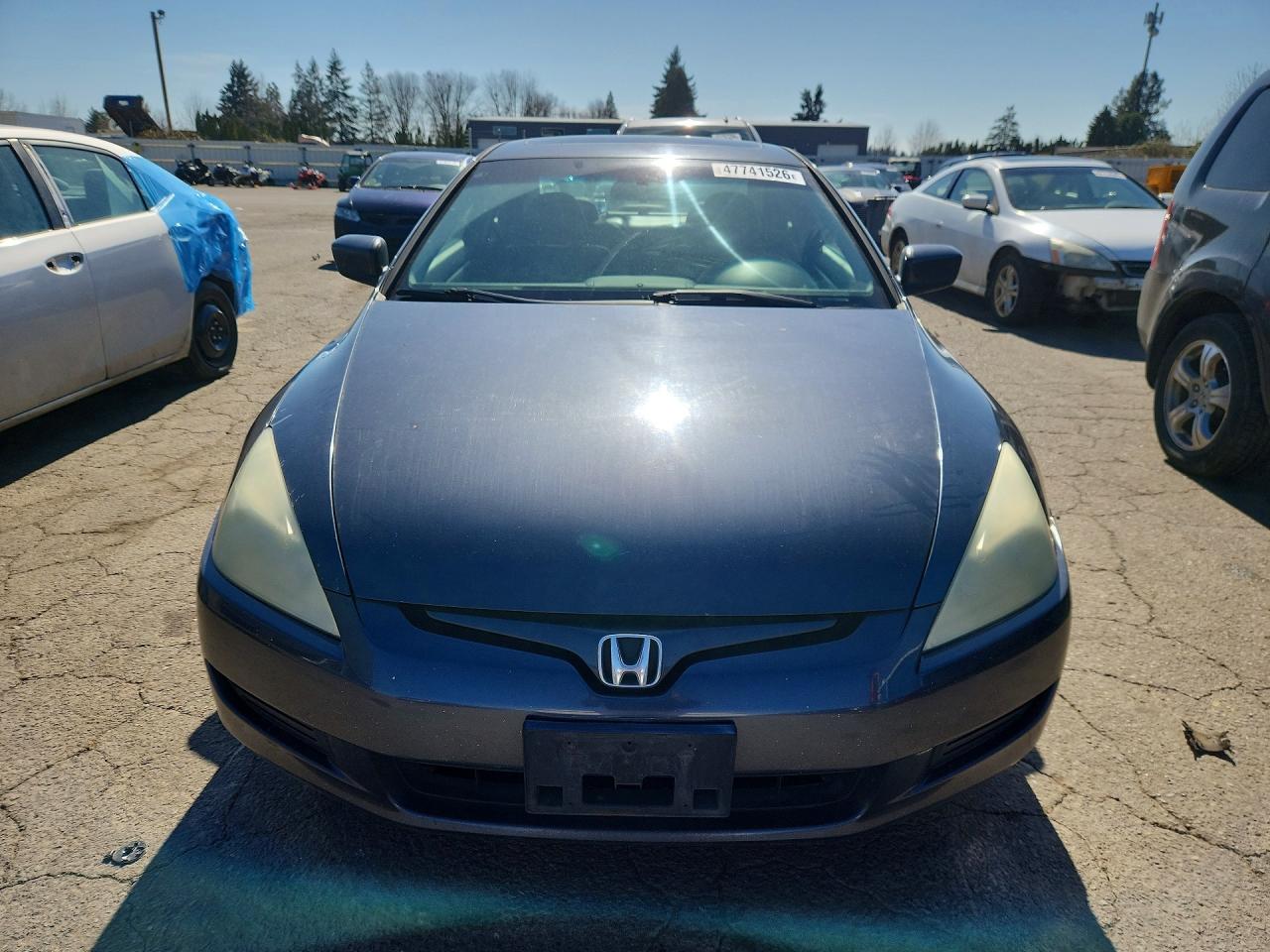 2004 HONDA ACCORD EX photo 13