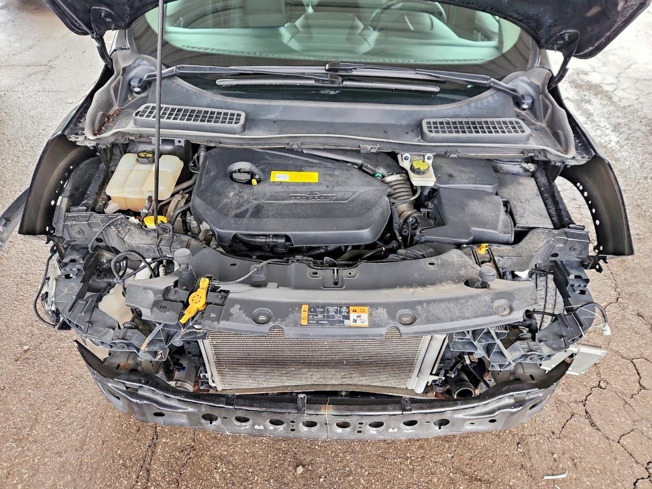2016 FORD ESCAPE SE photo 34