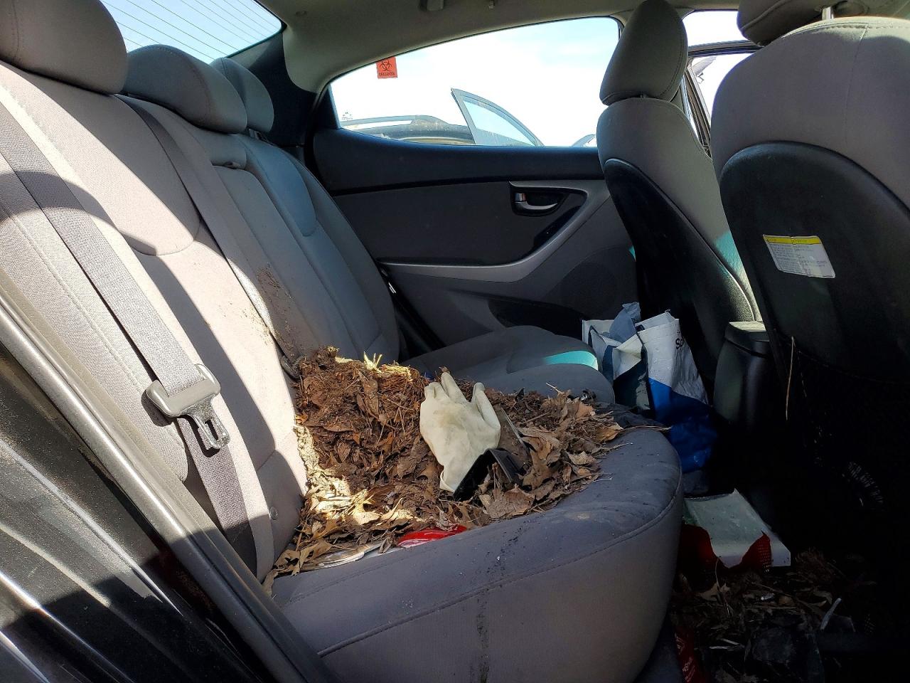 2015 HYUNDAI ELANTRA SE photo 10