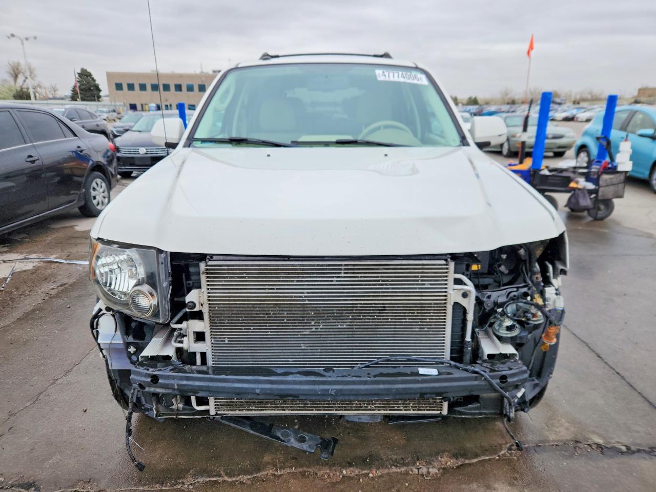 2010 FORD ESCAPE LIMITED photo 5