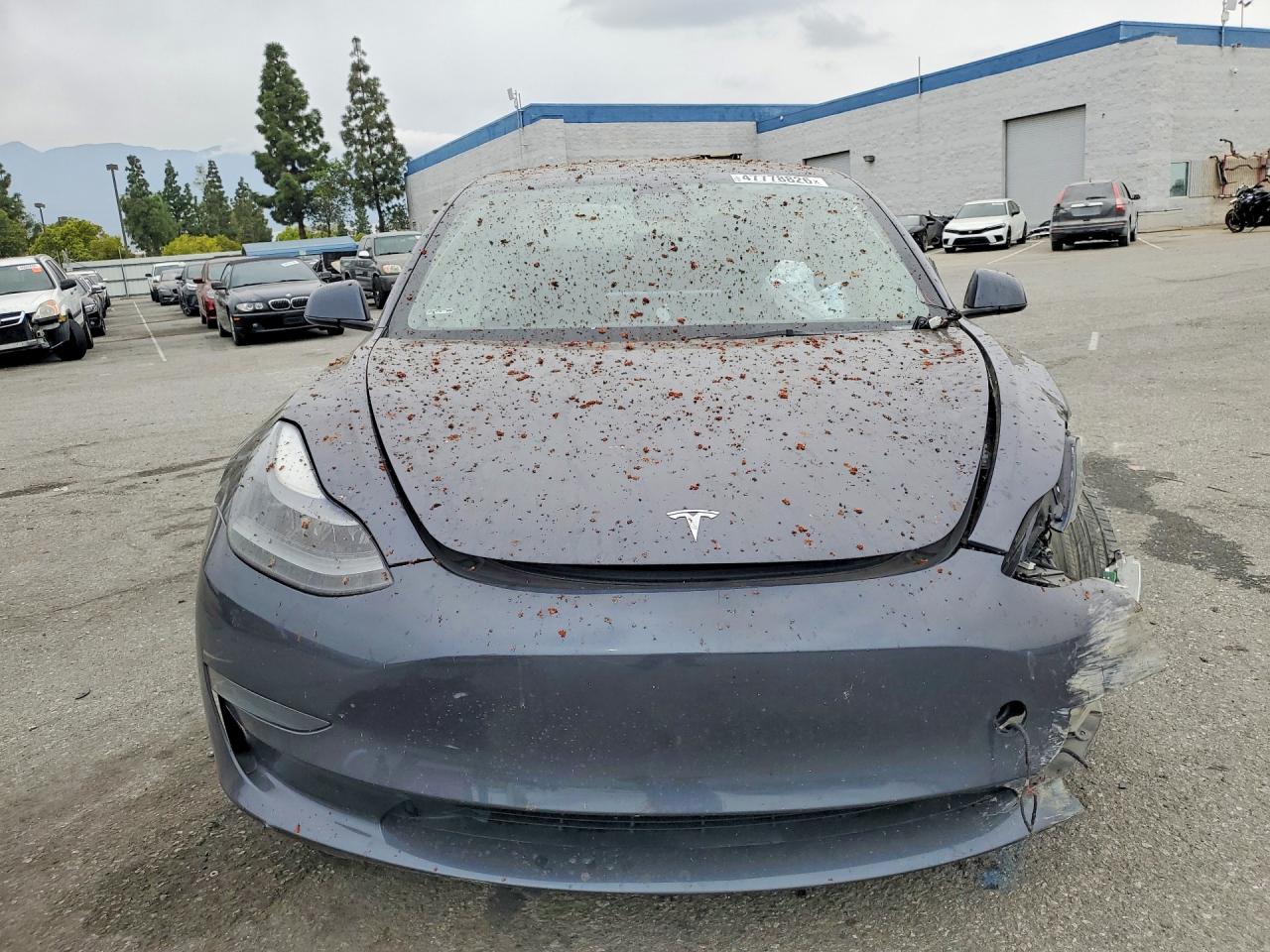 2023 TESLA MODEL 3 photo 9