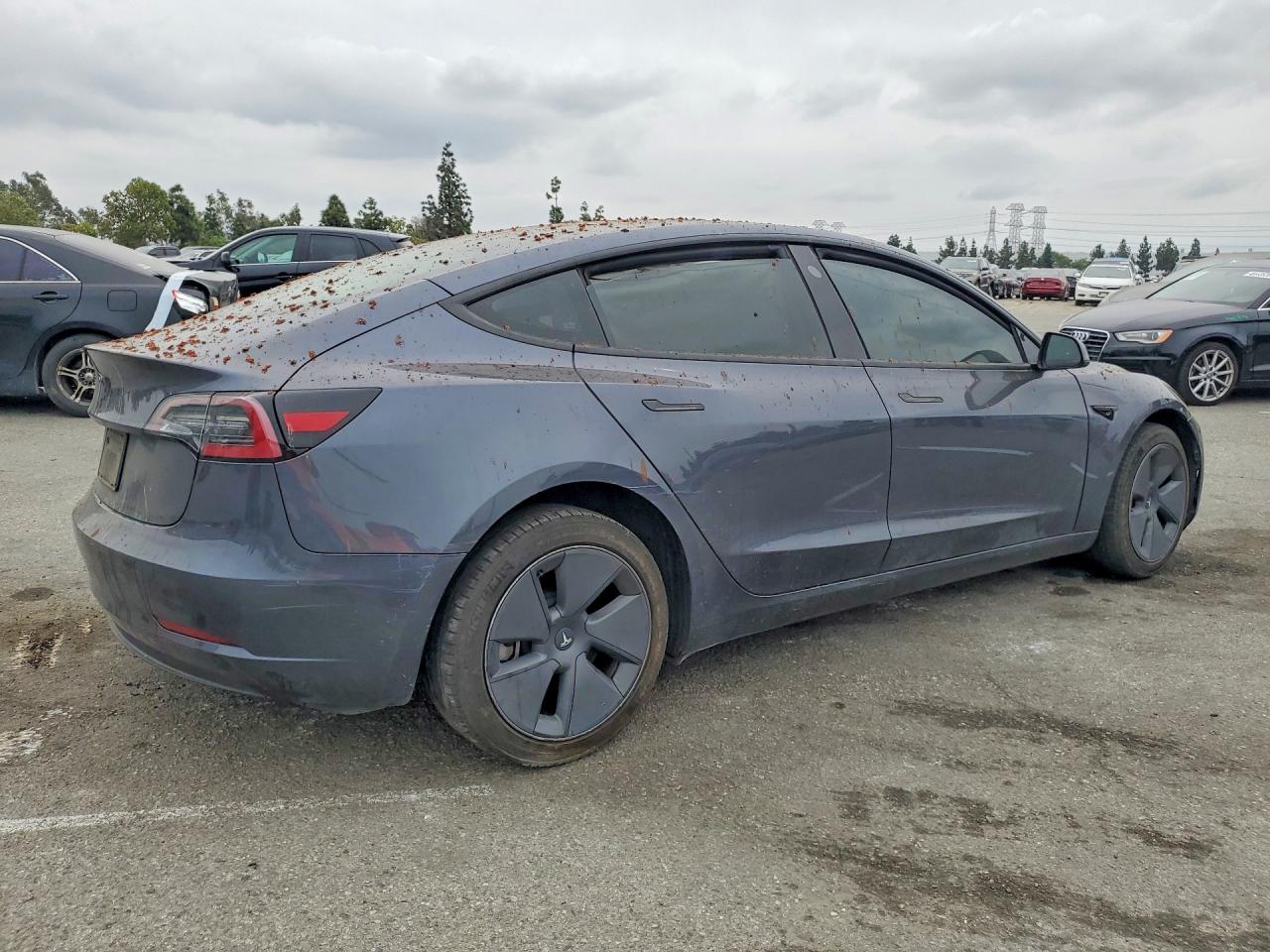 2023 TESLA MODEL 3 photo 5