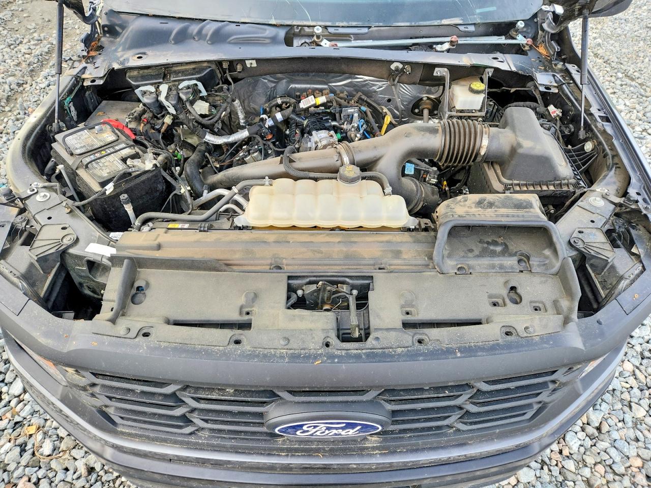 2024 FORD F150 XL photo 21