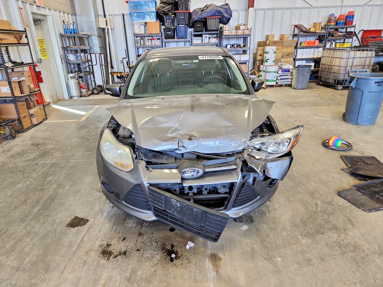 2014 FORD FOCUS SE photo 13