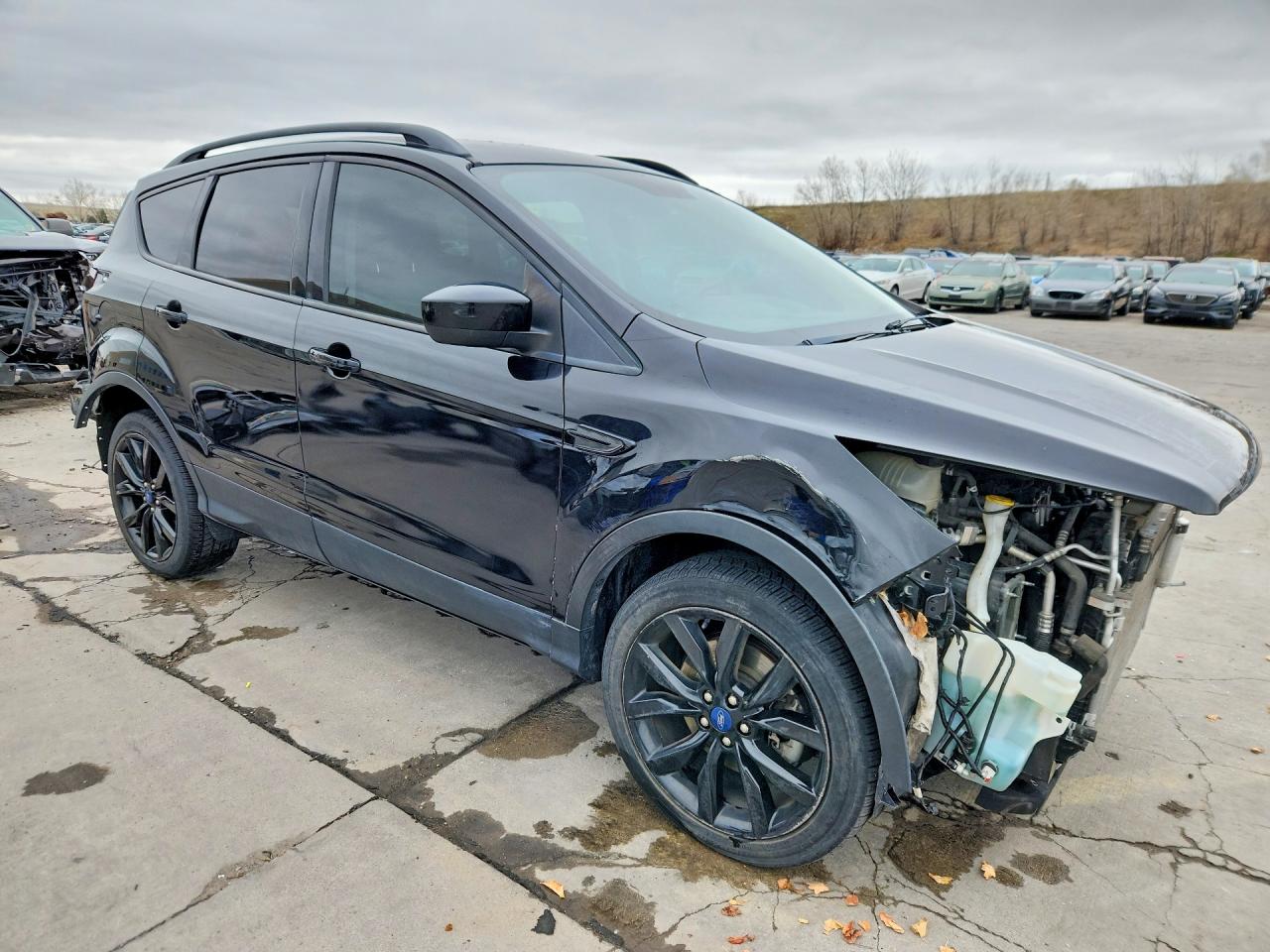2019 FORD ESCAPE SE photo 7