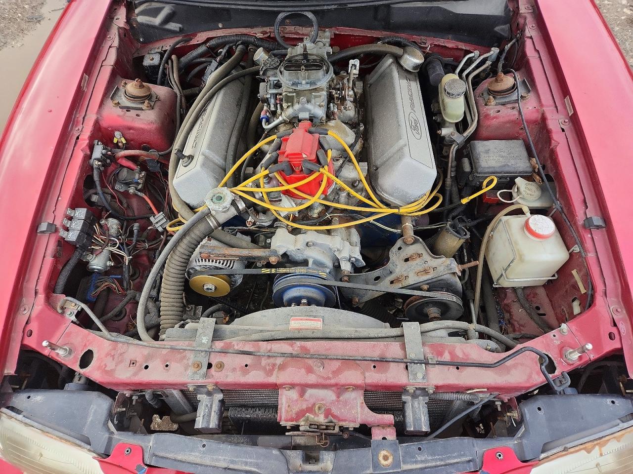 1995 FORD MUSTANG GT photo 11
