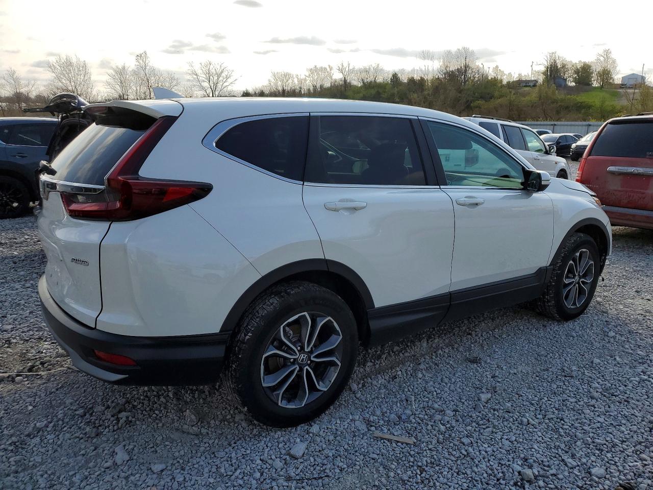 2020 HONDA CR-V EXL photo 7