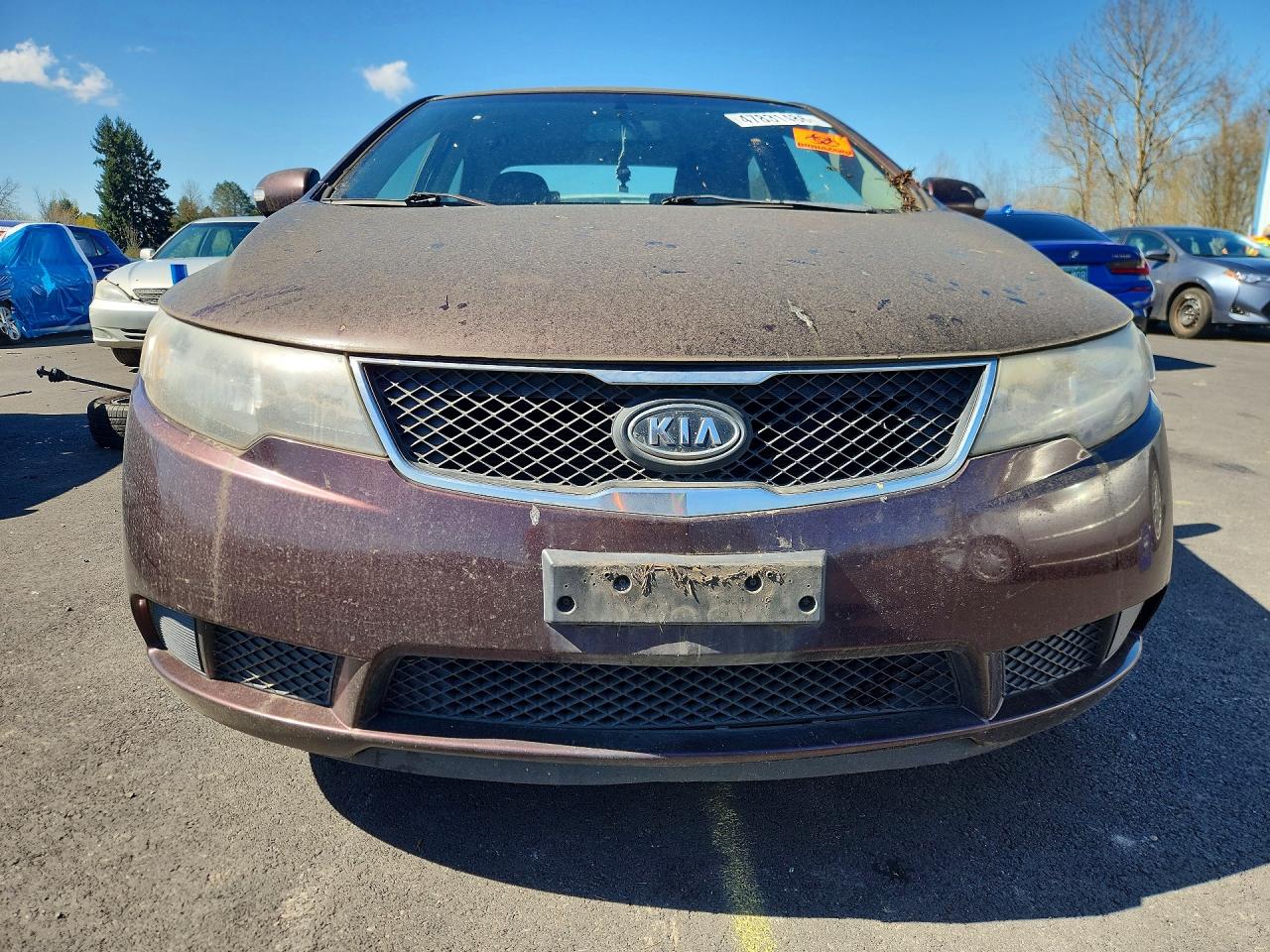 2010 KIA FORTE EX photo 9