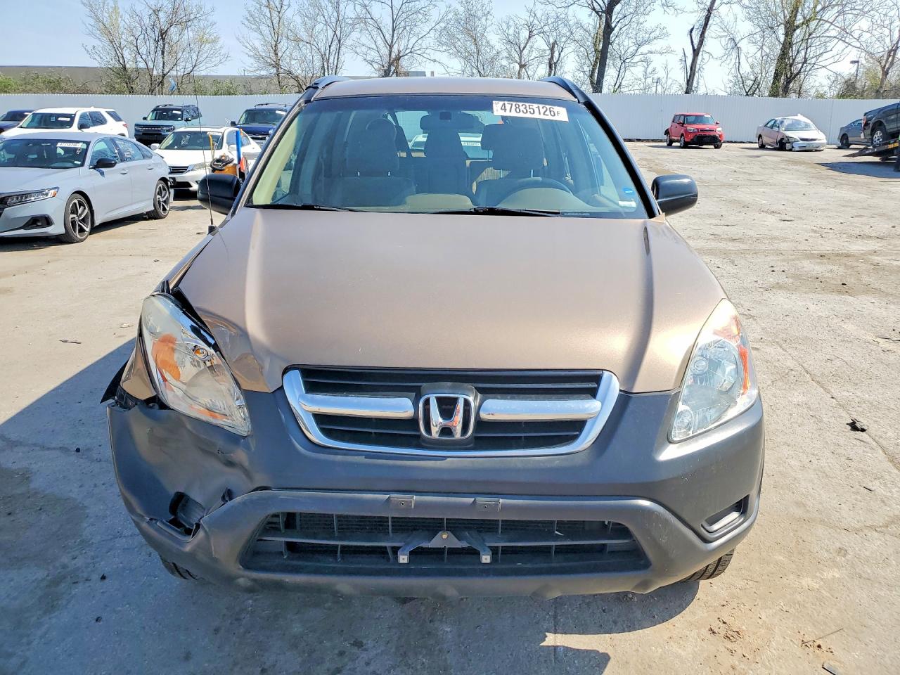 2004 HONDA CR-V LX photo 13