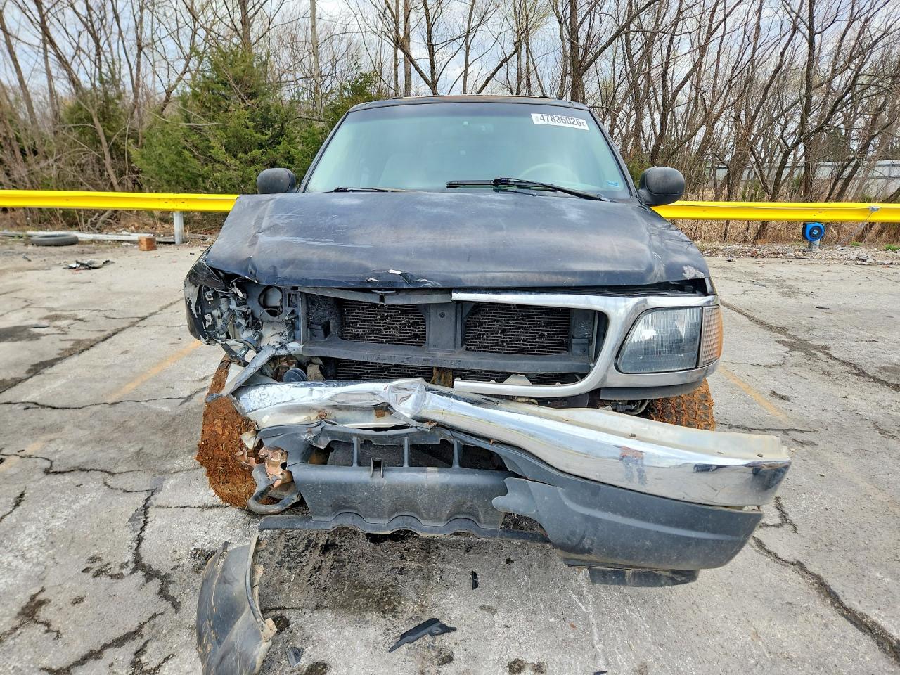 1999 FORD EXPEDITION photo 13