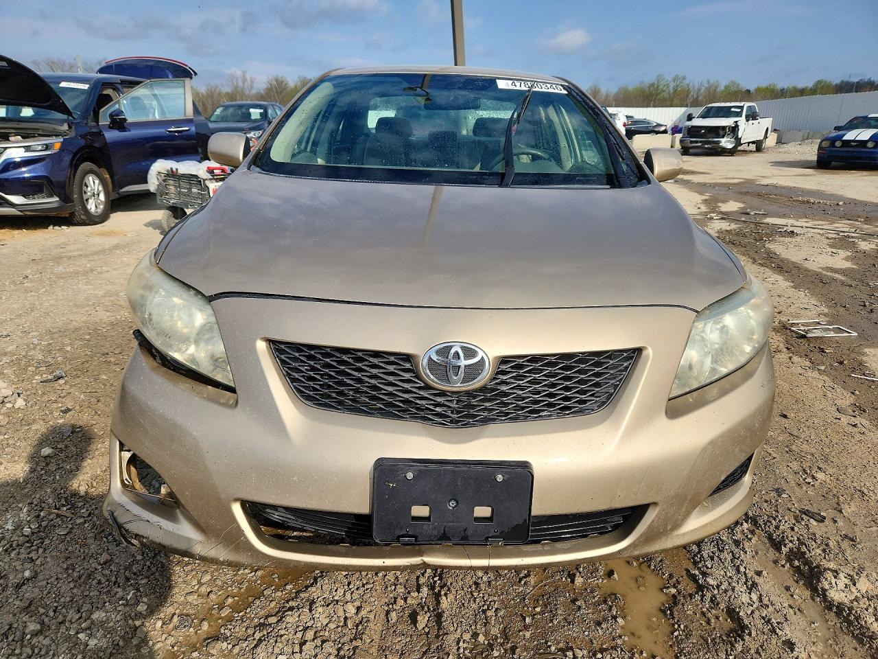 2009 TOYOTA COROLLA LE photo 9