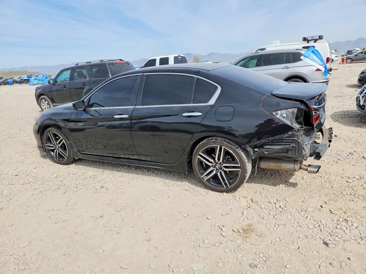2017 HONDA ACCORD SPORT SPECIAL EDITION photo 3