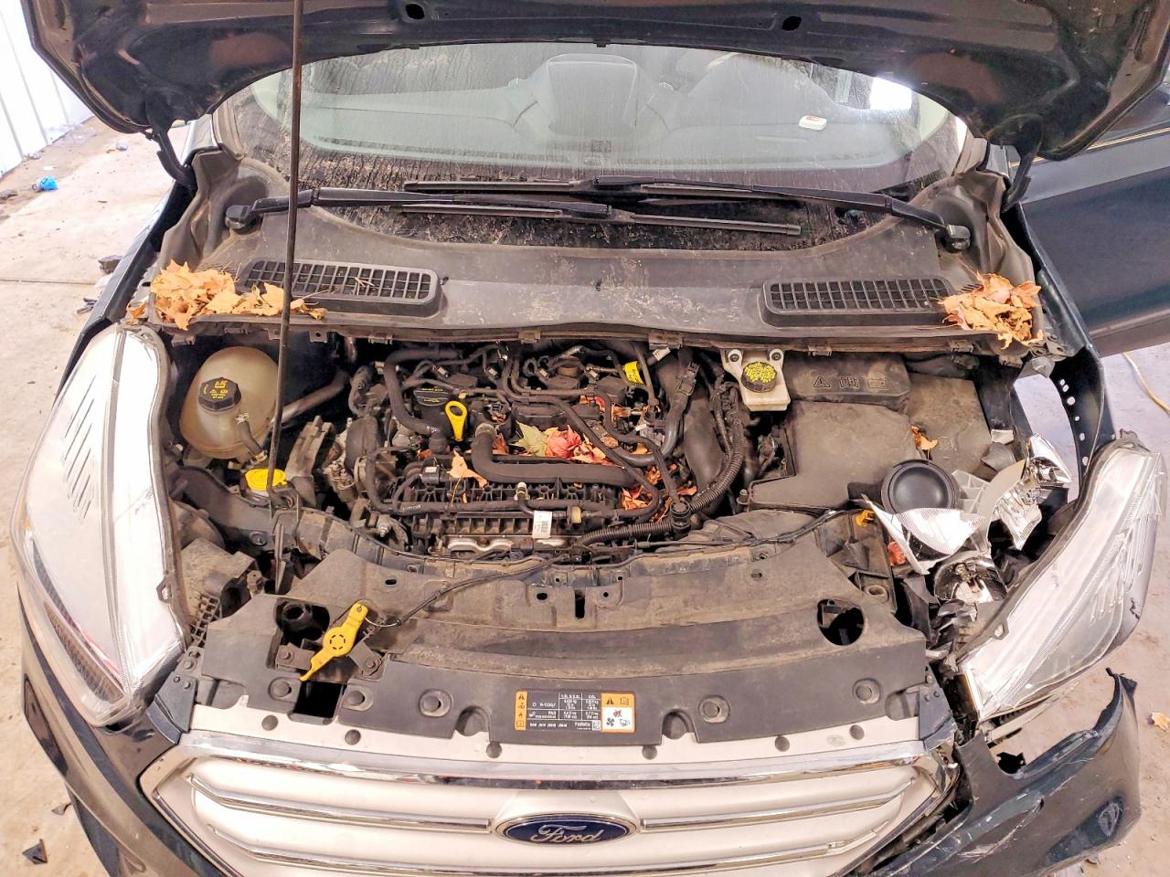 2019 FORD ESCAPE SE photo 21