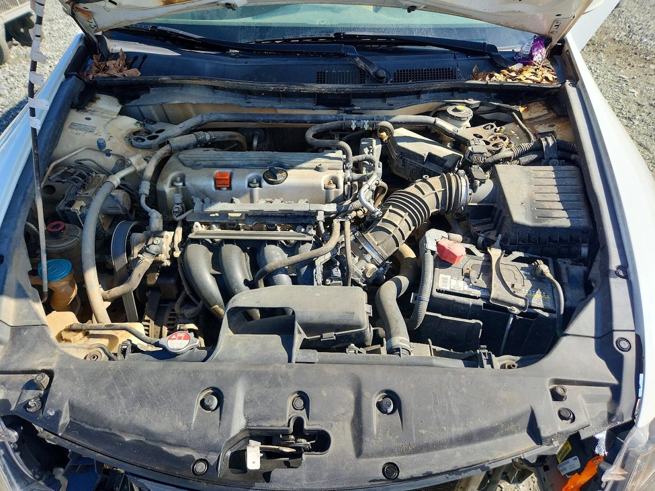 2011 HONDA ACCORD EX photo 11