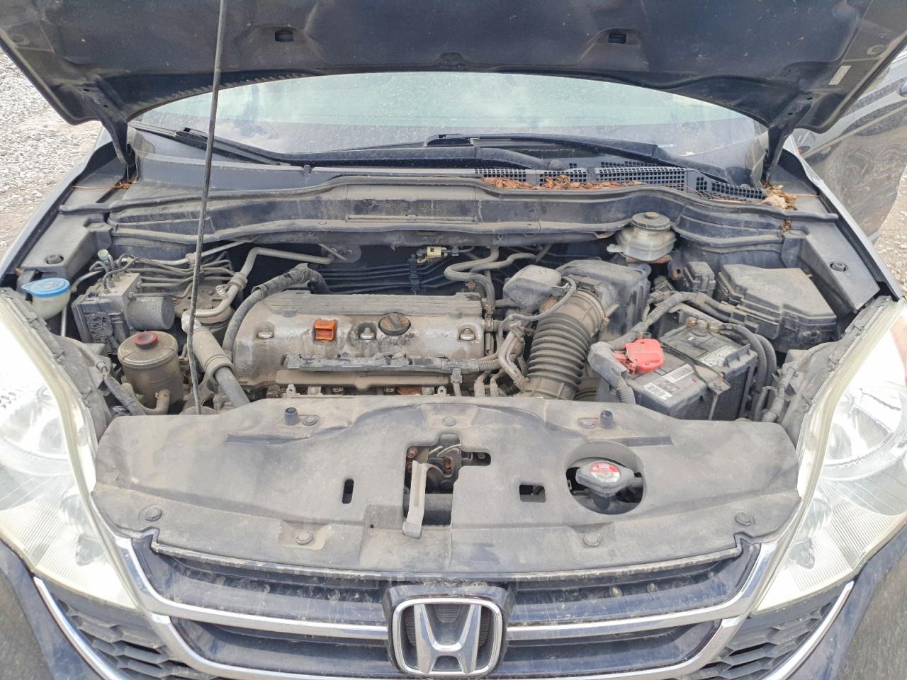2010 HONDA CR-V EXL photo 23