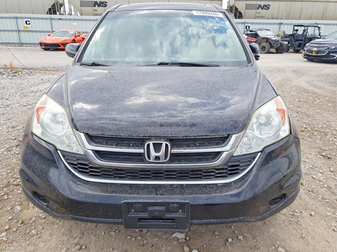 2010 HONDA CR-V EXL photo 9
