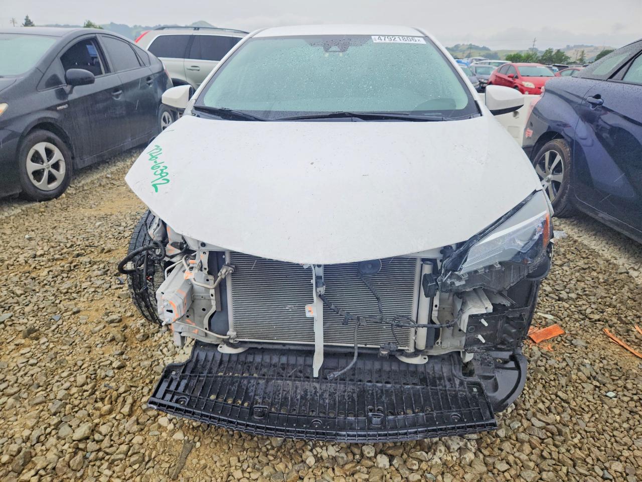 2019 TOYOTA COROLLA LE photo 5