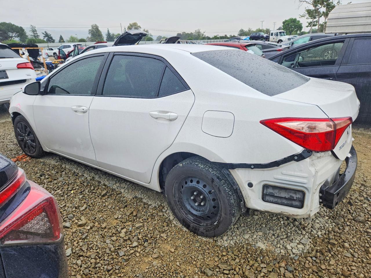 2019 TOYOTA COROLLA LE photo 2