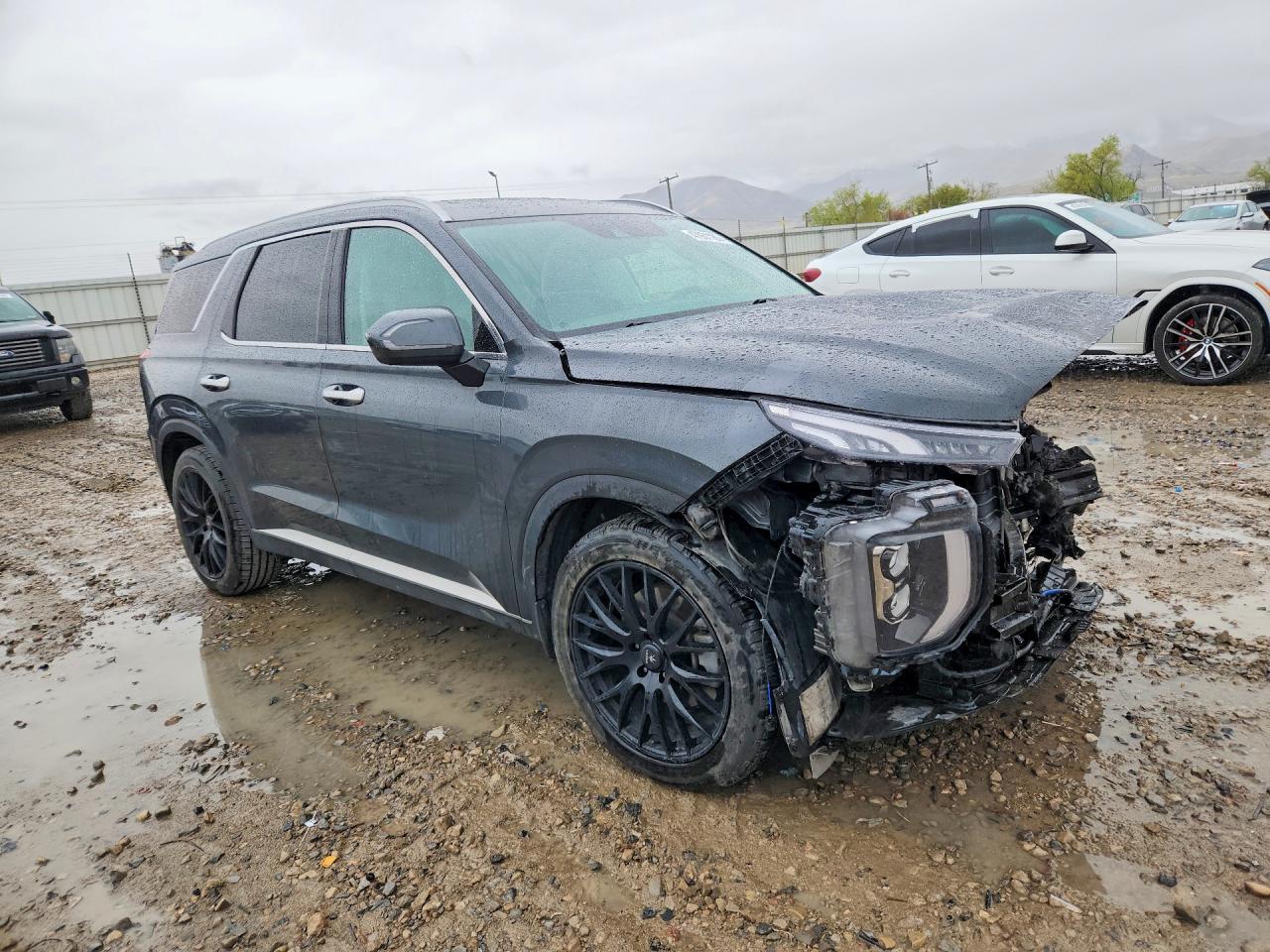 2022 HYUNDAI PALISADE SEL photo 10