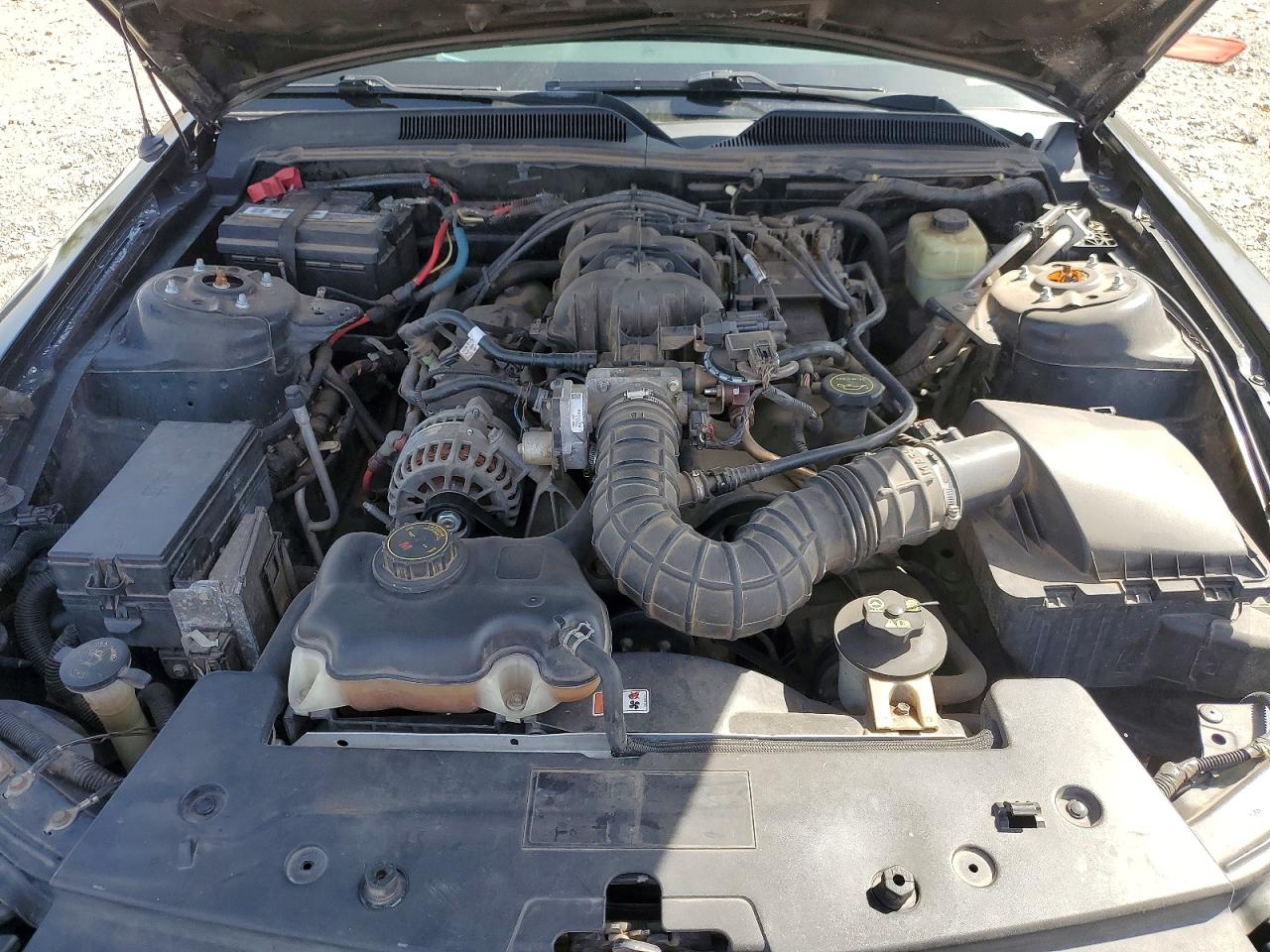 2006 FORD MUSTANG photo 21