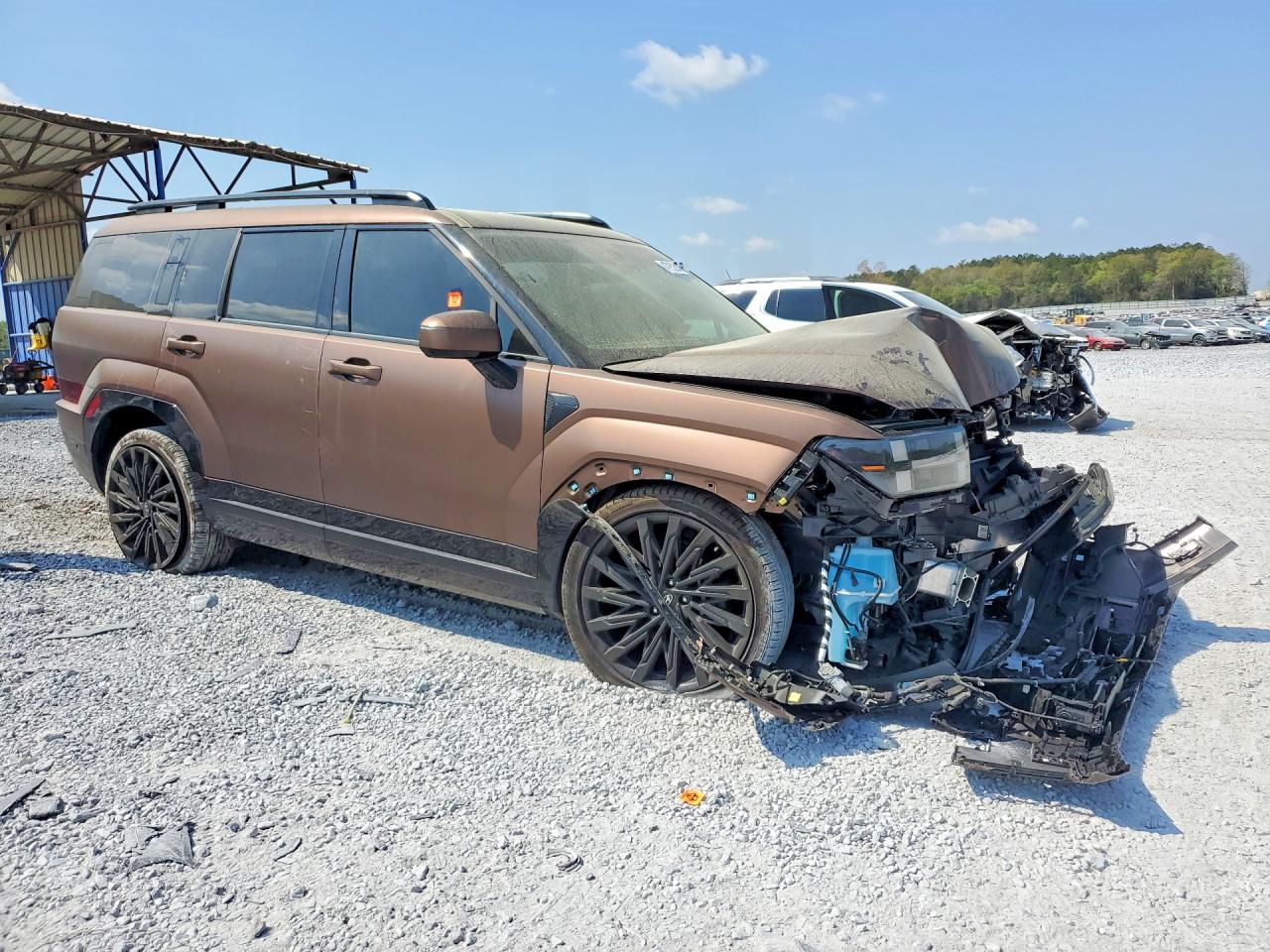 2025 HYUNDAI SANTA FE CALLIGRAPHY photo 7