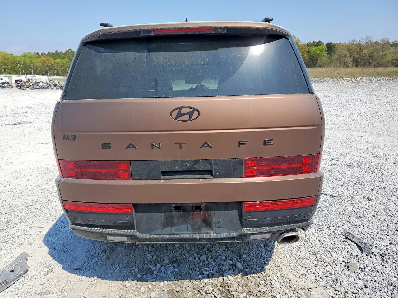 2025 HYUNDAI SANTA FE CALLIGRAPHY photo 11