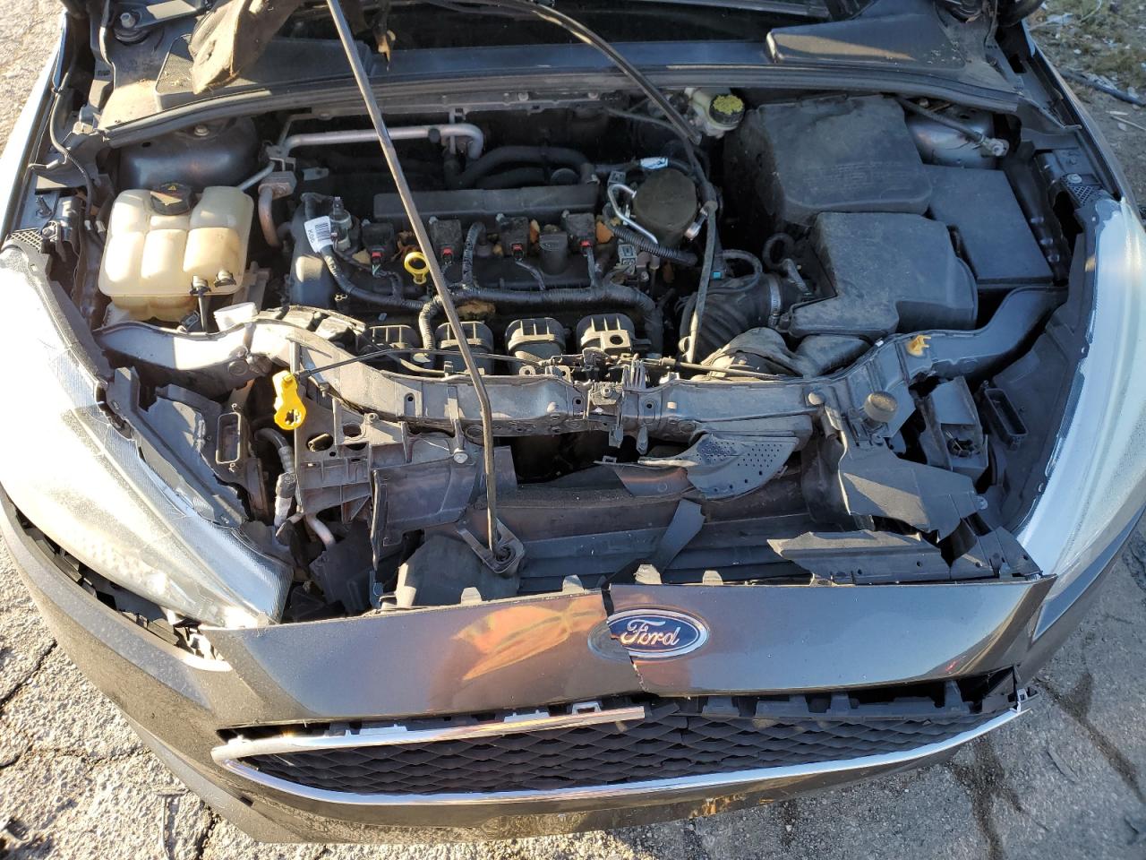 2015 FORD FOCUS SE photo 31