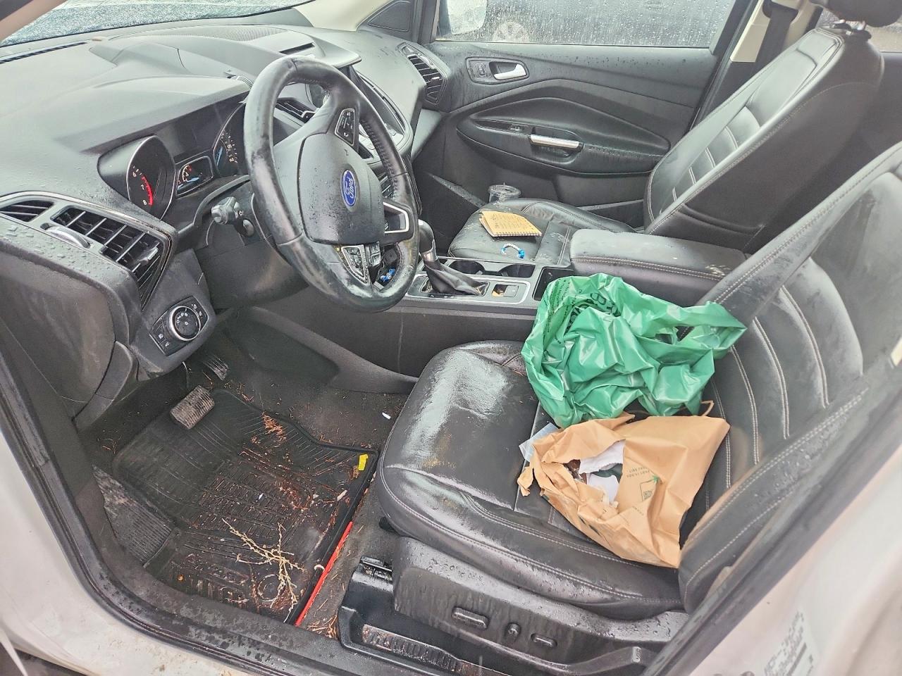 2017 FORD ESCAPE TITANIUM photo 19