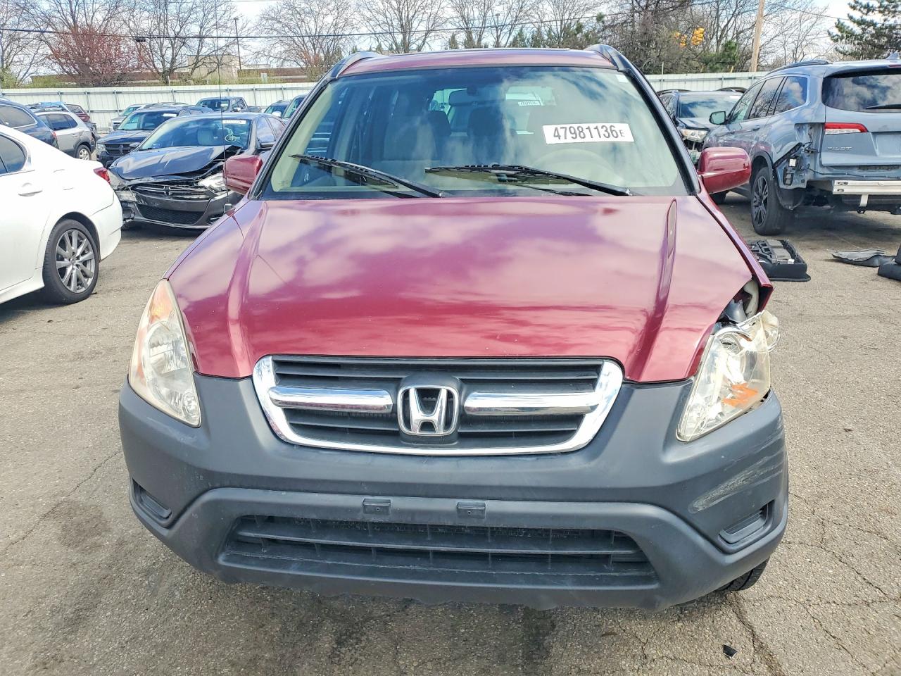 2004 HONDA CR-V EX photo 5
