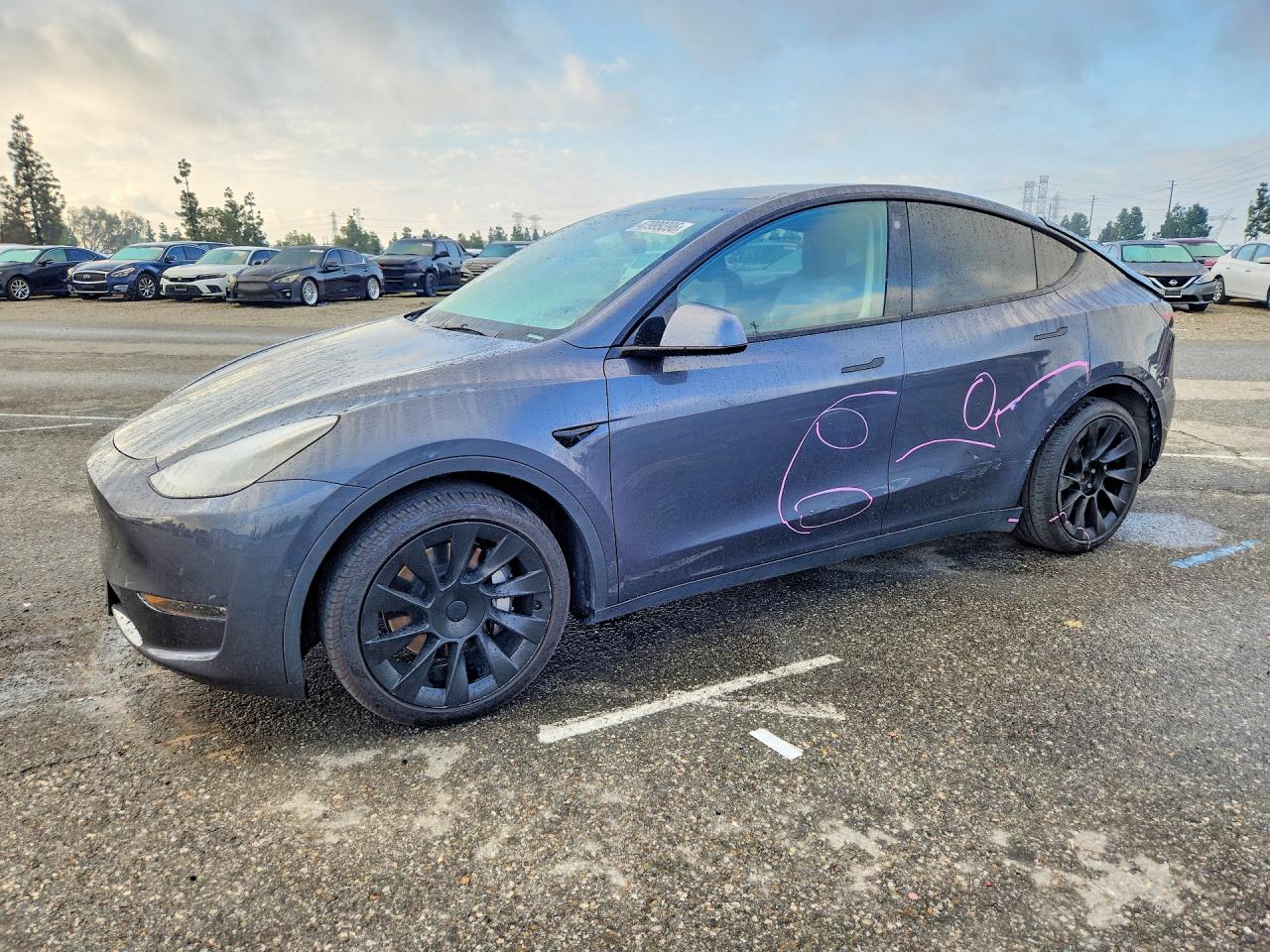 2021 TESLA MODEL Y