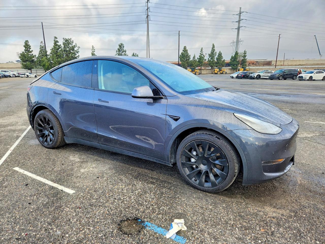 2021 TESLA MODEL Y photo 10