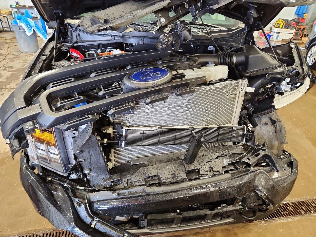 2023 FORD F150 SUPERCREW photo 31