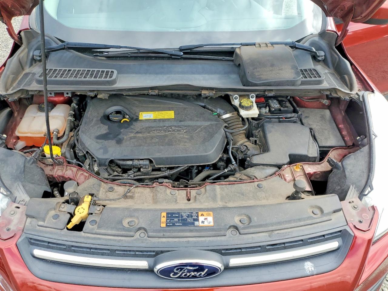 2014 FORD ESCAPE SE photo 23