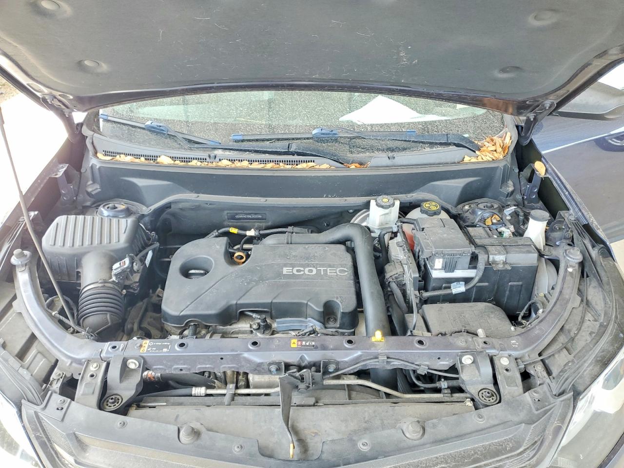 2019 CHEVROLET EQUINOX LS photo 12